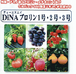 【送料込】DiNAプロリン 2号(かんきつ専用)　5L×4