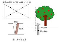 【送料込】川田研究所 土壌分析(基本項目+ホウ素・マンガン)